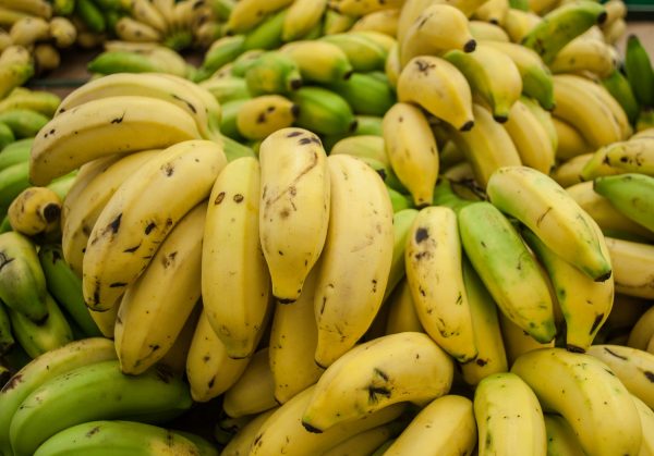 berbagai jenis pisang yang dikonsumsi oleh pasar indonesia