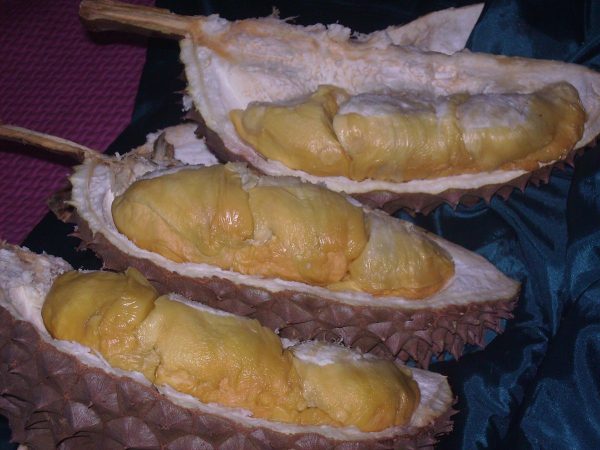 foto durian bawor