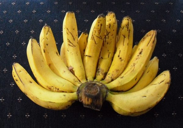 foto pisang ambon