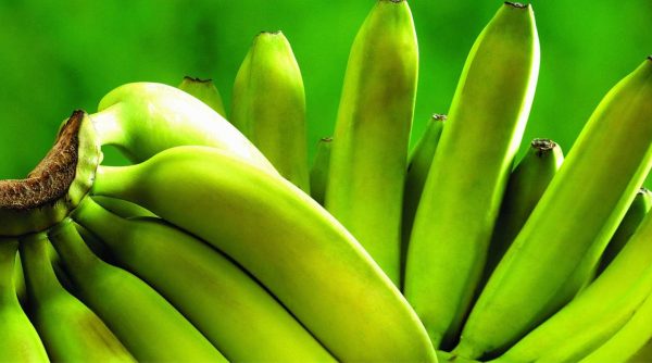 foto pisang ambon hijau lumut ( ambon lumut )
