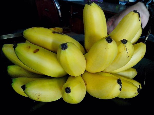 foto pisang mas